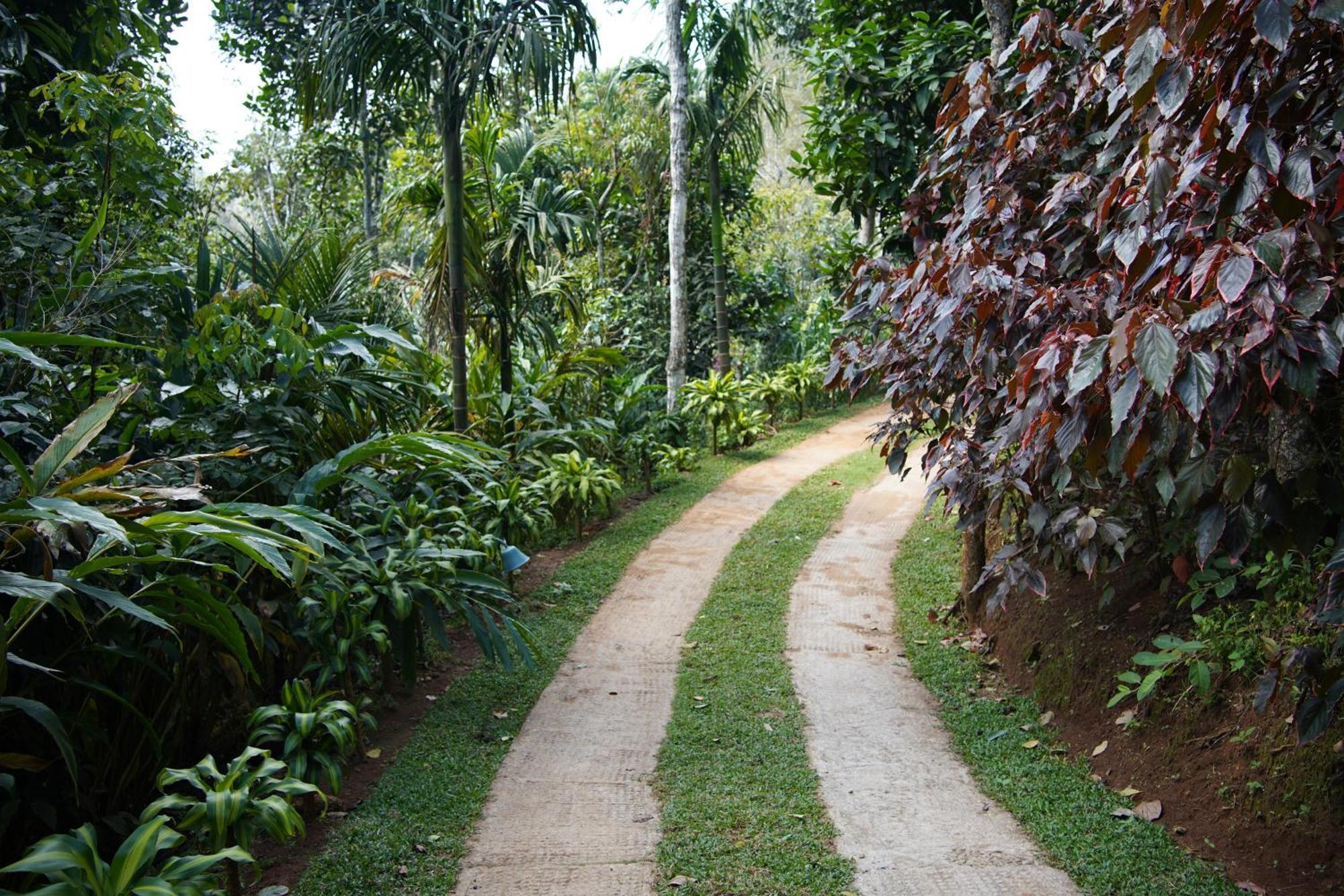 Blanket Days Resort And Spa Thekkady Exteriér fotografie